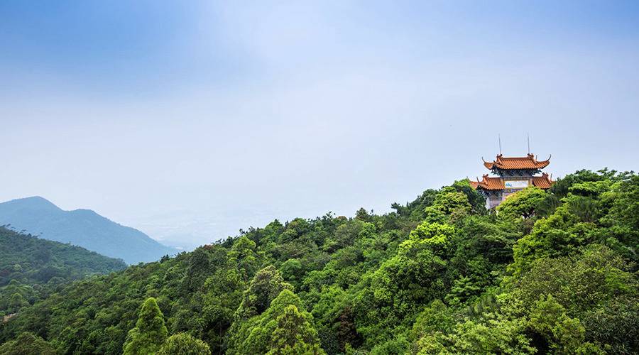 游玩tips:观音山观光路线推荐: 1,漫步山间,健康养生 路线:佛光路(十