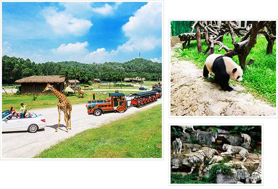 【4月特惠】廣州長隆野生動物動物世界