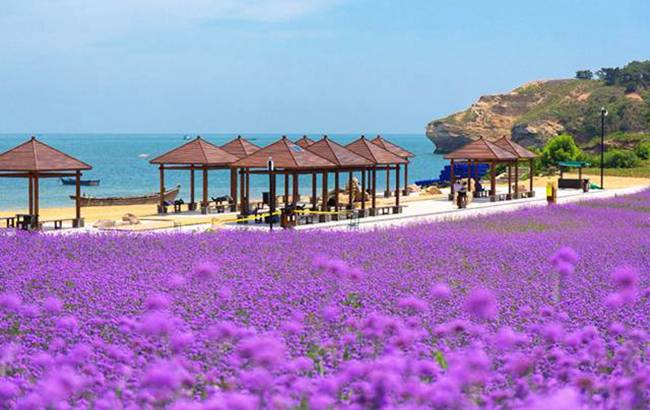 9元抢购大连金石滩心悦岛成人门票1张,周末节假日通用!