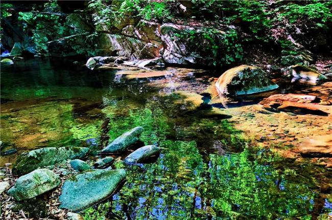 9元抢购原价150元丹东天桥沟森林公园端午节6月7日成人门票1张,不限