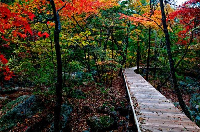 9元抢购原价150元丹东天桥沟森林公园端午节6月7日成人门票1张,不限