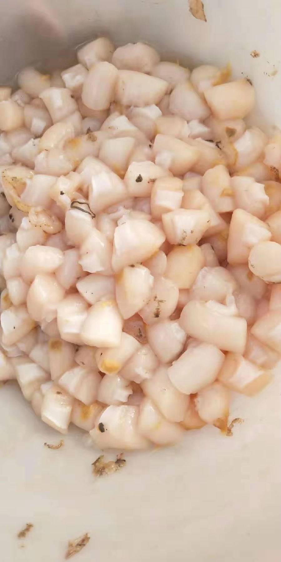 【长海县扇贝丁】29.