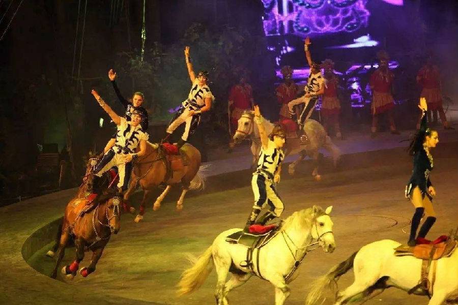 河北吴桥龙欢马戏团,该团有着多年的表演经验