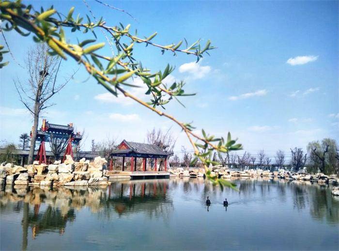 莒县丽正园风景区成人票