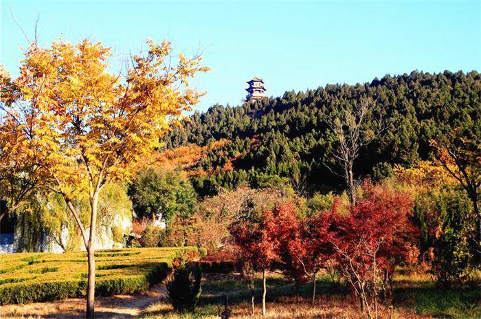 浮来山风景区团队票