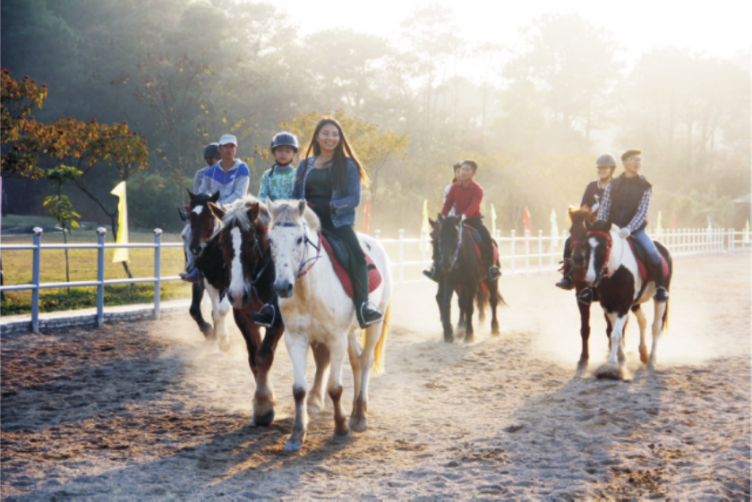 广州花都马背上的贵族体验49元抢御盛国际马术度假区骑马沙圈体验1圈