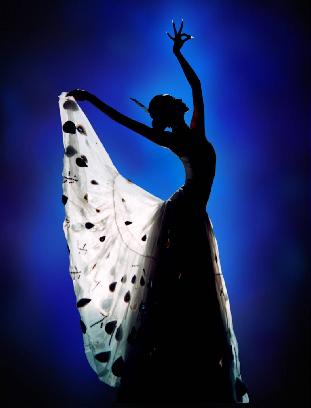 【大型原生态歌舞集《云南映象》 再度火爆开售】88元限时抢购舞界传