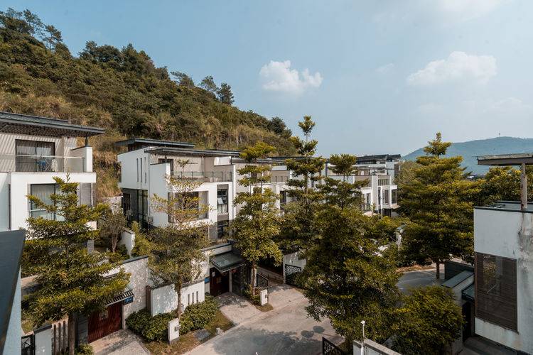 绿树环绕,一切都刚刚好