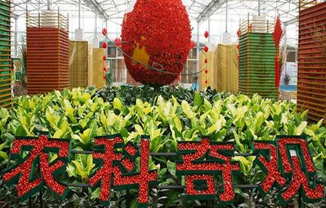 珠海农科奇观成人电子票                    