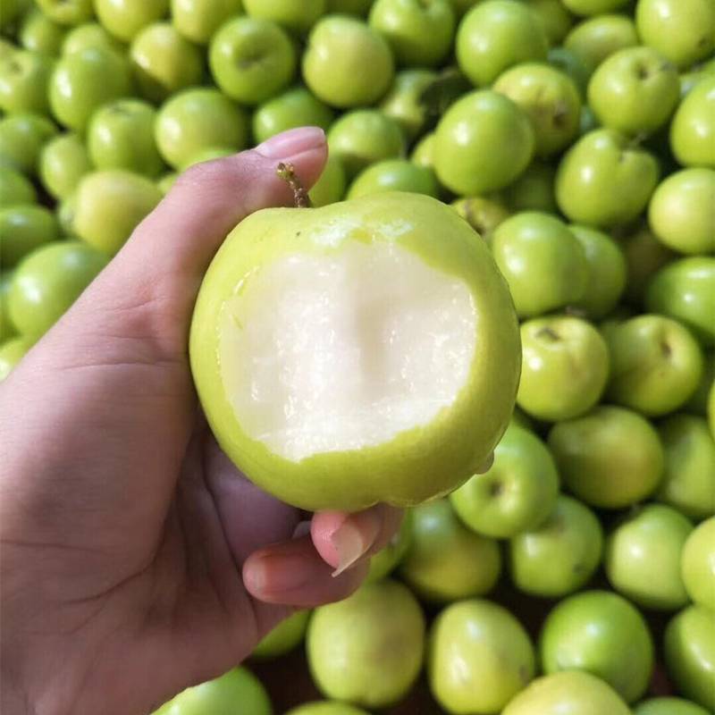 包邮36元抢贵妃牛奶枣5斤装果实营养丰富脆甜可口含有大量维生素c钙磷