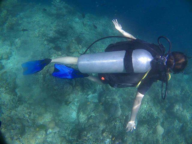 199元中潜潜水世界门票一张(含面镜,潜水衣,bcd(充气马甲),氧气瓶