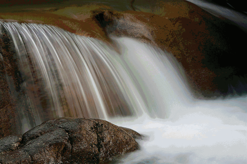 shan zhuang 这里依山而建,古树环绕,翠竹漫山 枯藤老树昏鸦 小桥流水