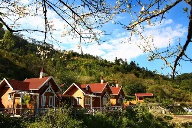 新兴天露山度假区异国风情温泉木屋套票仅499元,10-11月平日周末不