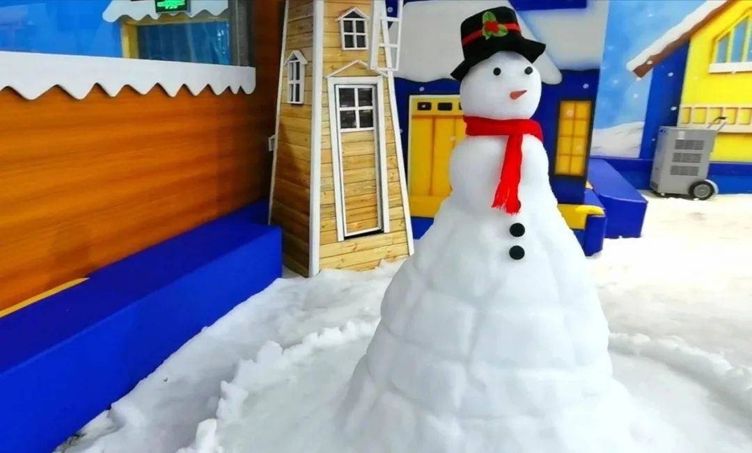 大型室内飘雪乐园,看雪花飞舞~轻装娱雪~冰雪奇缘堆雪人打雪仗~随到随