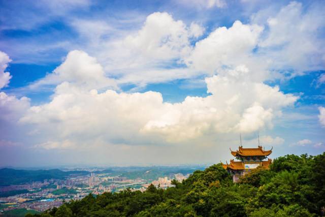 東莞樟木頭觀音山套票(景區門票 古錢幣博物館 高空滑索項目)(成人票)