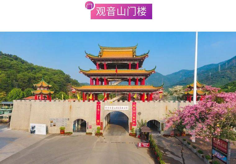 9元(含景區門票 魔幻夢鏡網紅藝術館 動物園)~假期潮玩觀音山,打卡