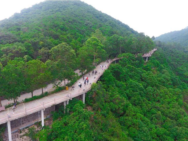 隨買隨用東莞觀音山國家森林公園套票c含大門票魔幻夢境動物園