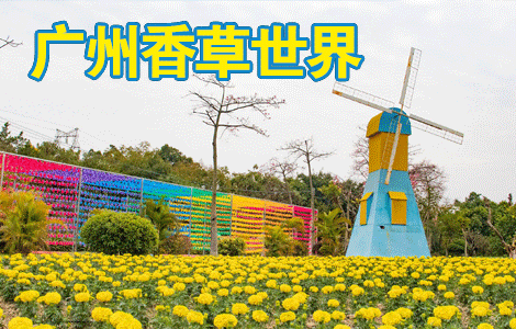 广州花都香草世界 越野车单人票