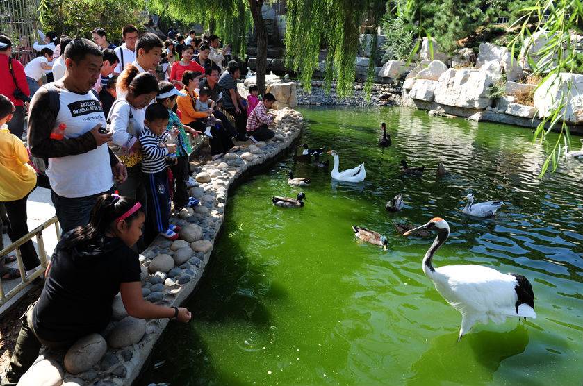 南山公園有公園區,花卉區,動物園,森林區和兒童遊樂場五個主要分區