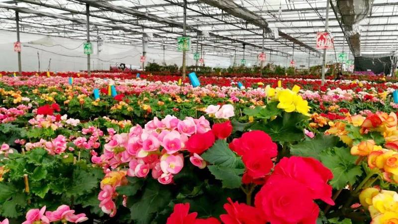 南宁市八桂田园景区 【国庆一大一小套餐】39.9元!