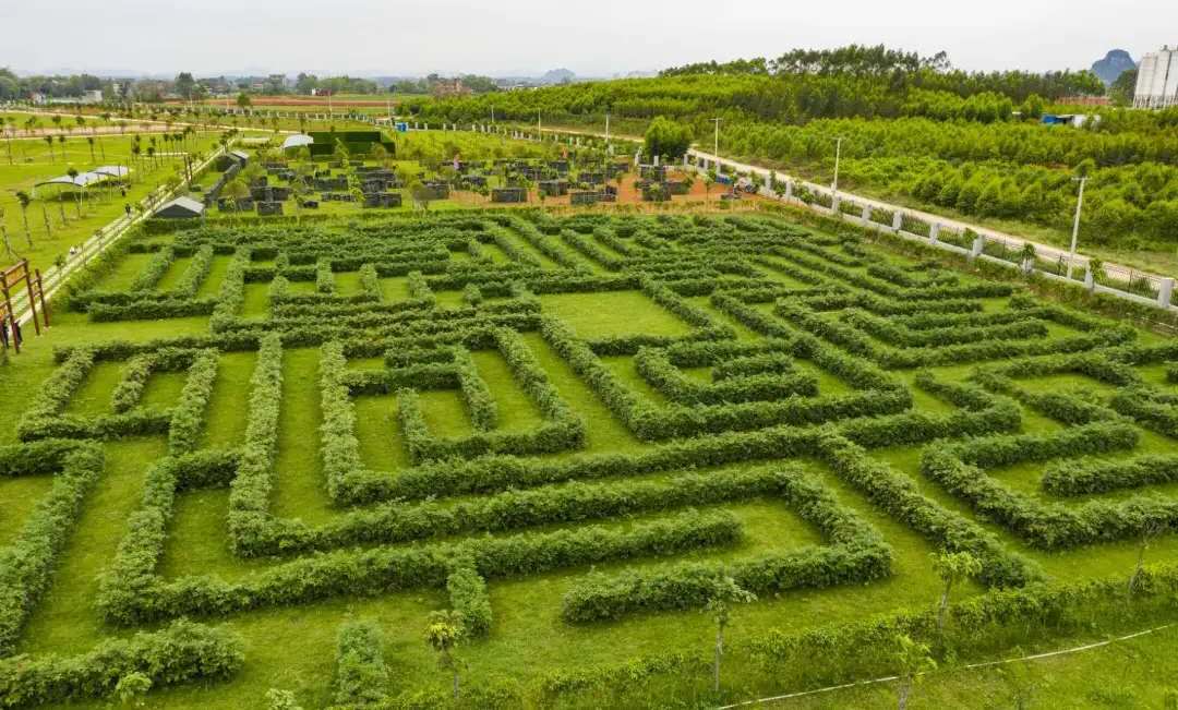 13-植物迷宮