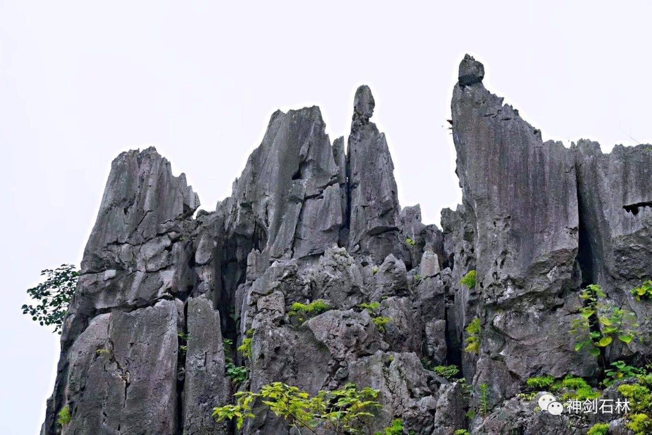 25元!抢购原价80元富川神剑石林自由游门票!
