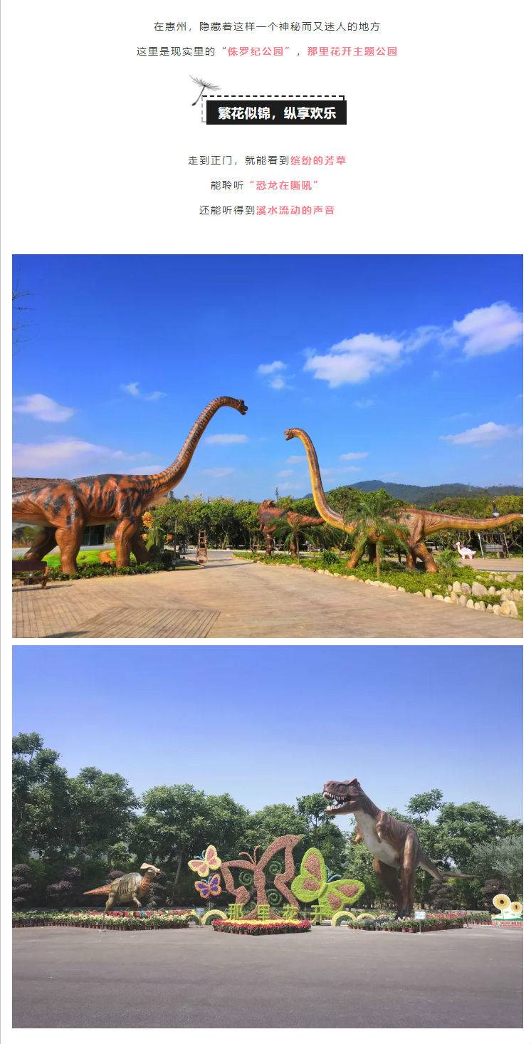 惠州那里花开主题公园(儿童票)