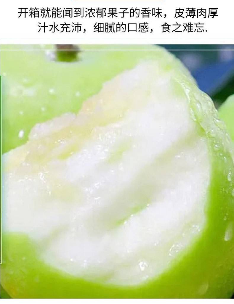 【全国包邮】新鲜上市！29.9元抢陕西青苹果4-4.5斤装（约16枚）；馥郁多汁~脆密酸甜嘎嘣脆！