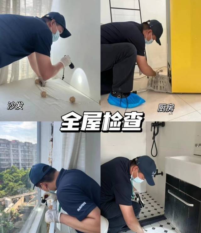 【全屋除蟑螂】深圳全区域专业除蟑螂上门服务 99元起