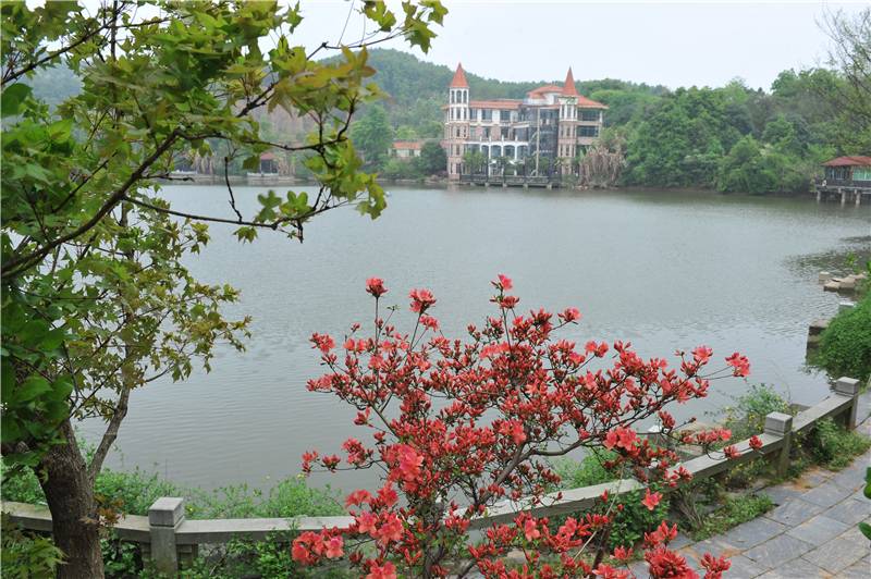 南昌中盛山庄杜鹃花节成人票