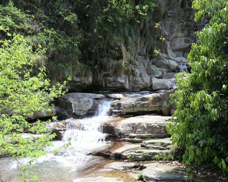 九江庐山碧龙潭风景区儿童票