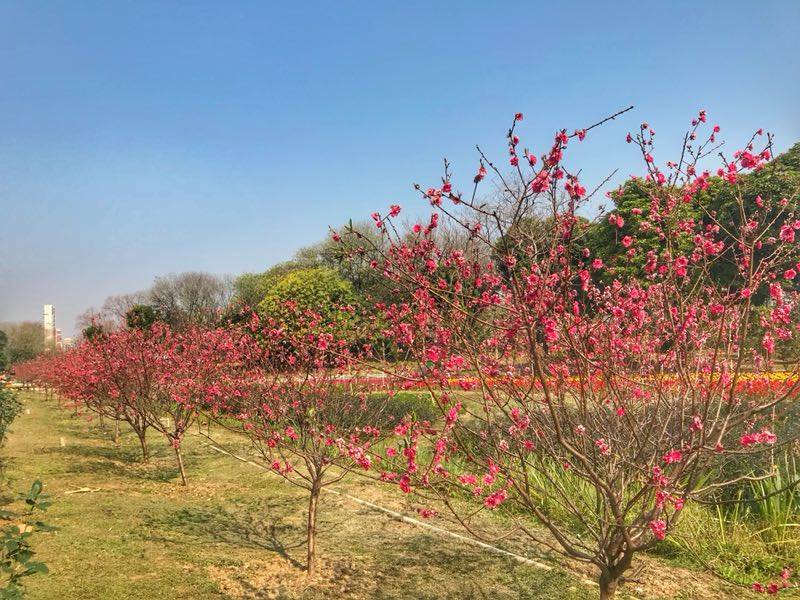 明昌拾贰季生态岛图片