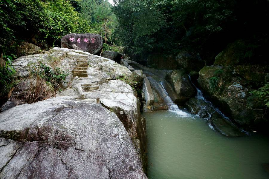 【抢购价格】:99 元.