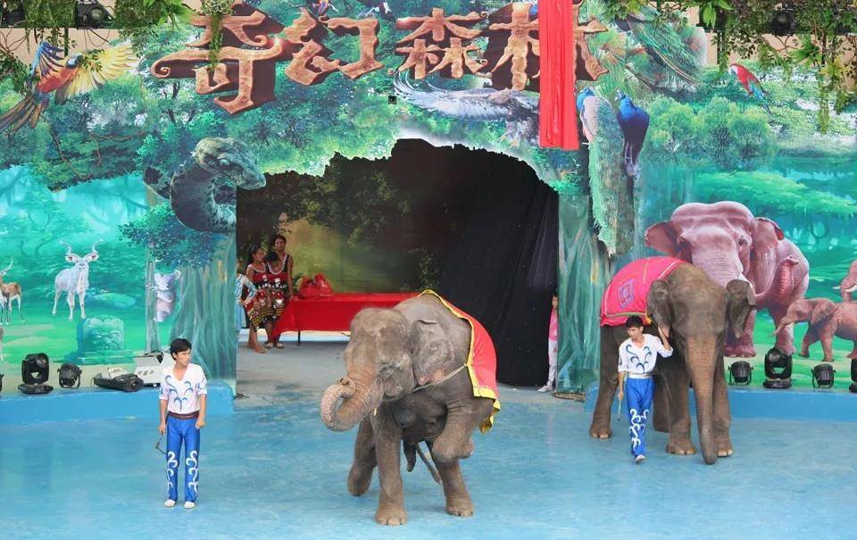 來東莞香市動物園