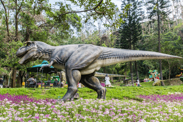 深圳求水山龙之谷 恐龙 绿雕 亲子乐园