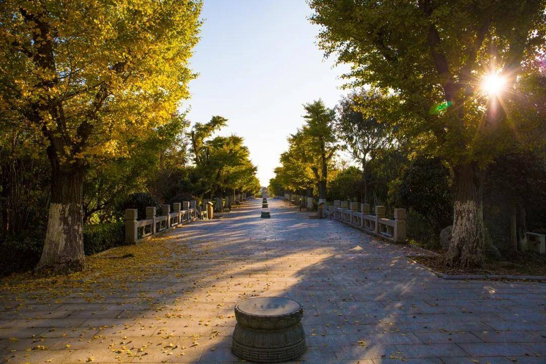 【首届风车银杏节】常州中华孝道园成人票