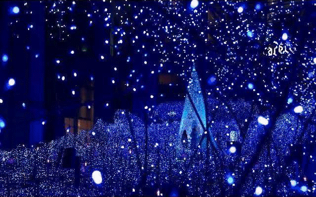 庄园里 体验一把偶像男女主角的感觉 闪闪的灯光就如夜空中闪耀的星