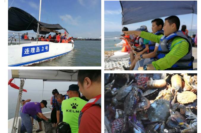 【限时抢购】海阳连理岛门票(成人票)有效期(5月1日-10月31日)当天