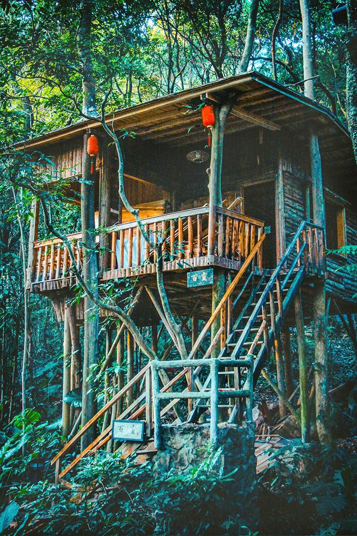 九州驿站清远英德天门沟驿站树屋村 艺廊驿舍 无限次温泉 赠送天门沟