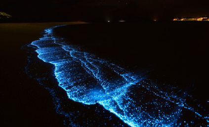 双月湾东山海酒店(虹海湾) 全海景双床房