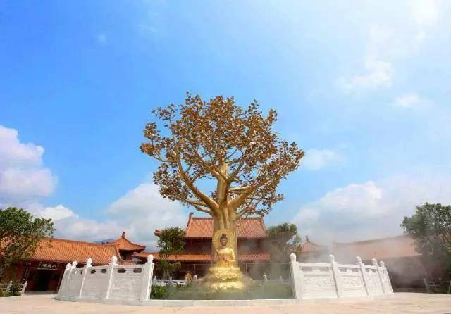 取意释迦牟尼菩提树下悟道成佛典故