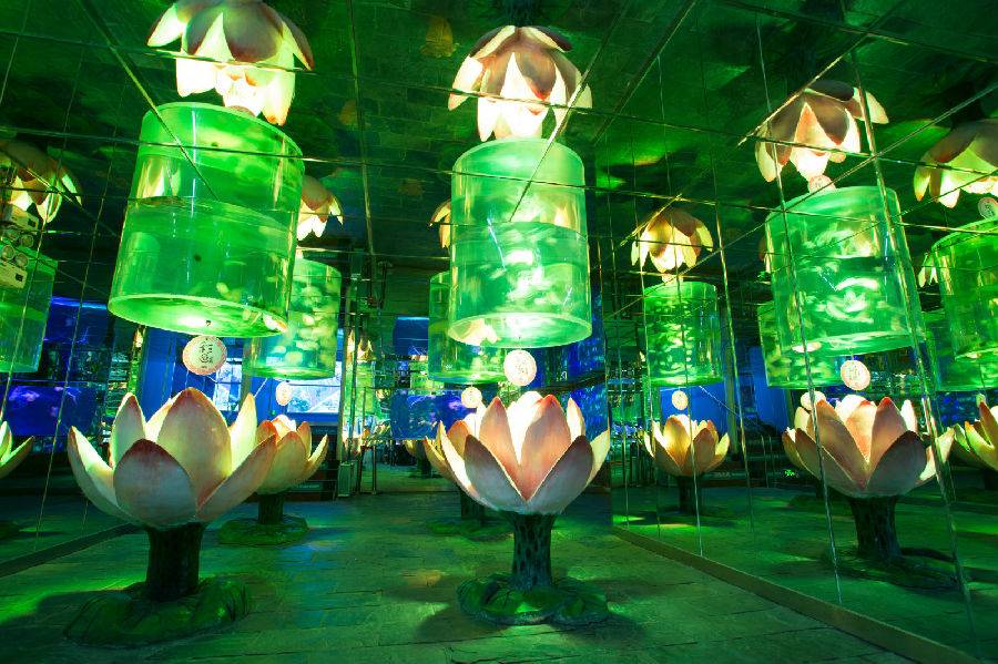 梦幻水母宫里精灵般的水母在水中漂浮,优雅美丽,它们就是海底精灵