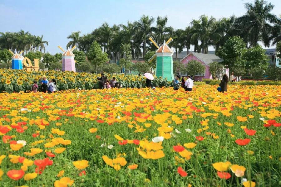 【周末/节假日不加价】广州4a百万葵园 主题花海 花海剧场 九大机动