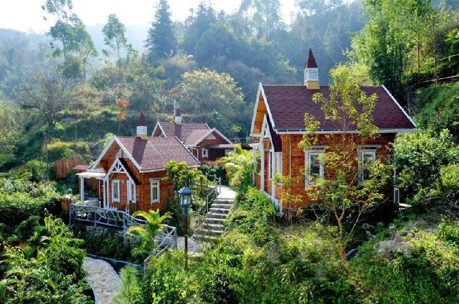 中国禅都-醉美新兴天露山异国风情温泉家庭小复式独栋木屋别墅499元