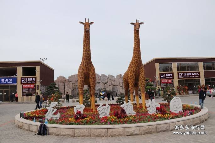 【山東·龍口】龍口動植物園一週年慶,動物園門票特價39.9元