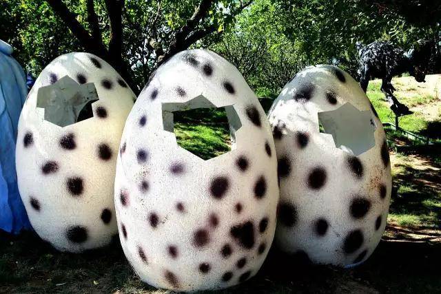 呀!恐龙蛋要破壳而出了呢!