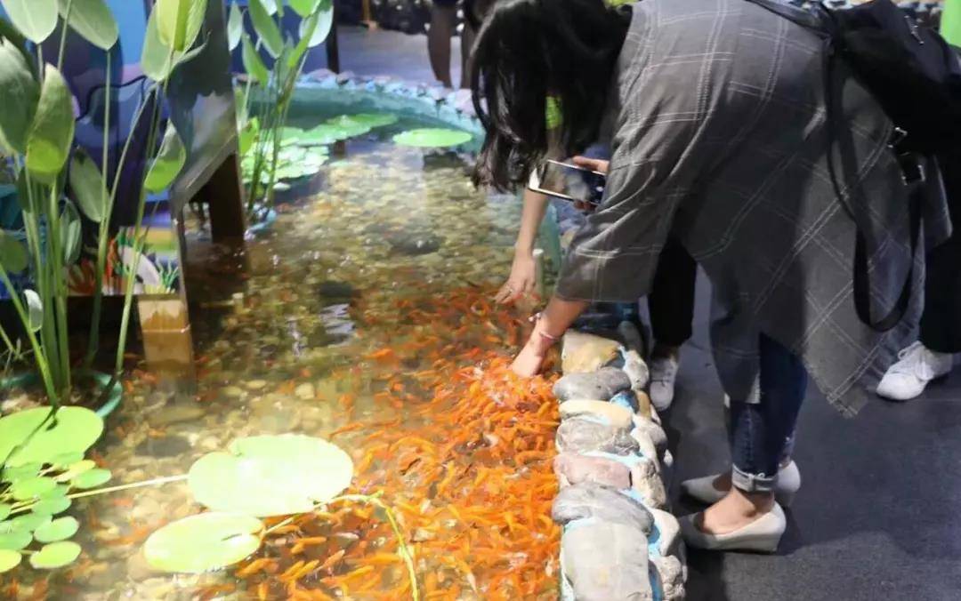 还可以徒手捞亲亲鱼哟