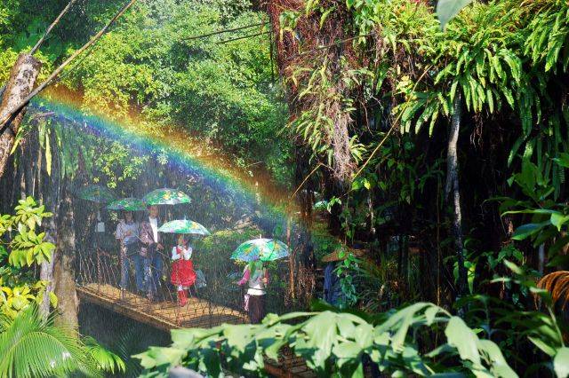 12月16日17日深圳青青世界299秒杀原价80元4折抢购4a景区只抢三天快带