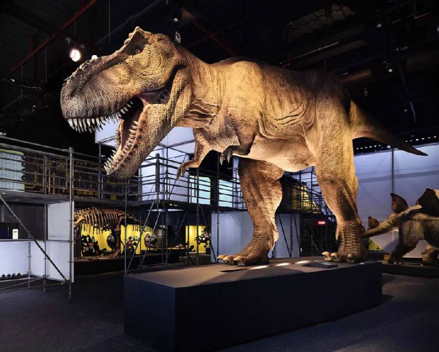 1月5日-3月5日深圳蛇口侏罗纪dinolab恐龙实验室亲子票160元秒杀!