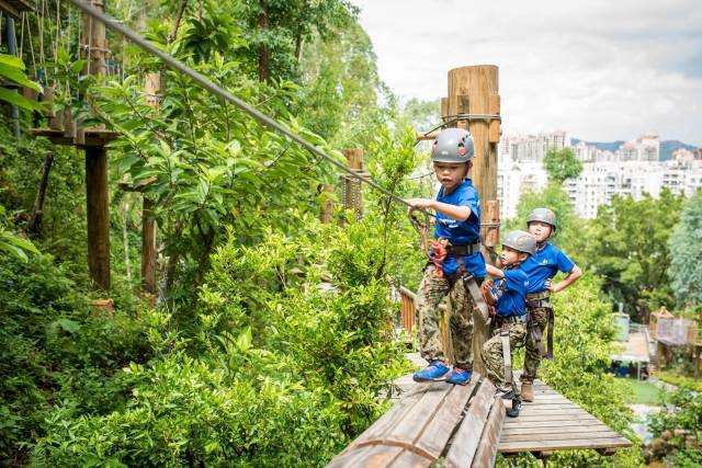 【深圳】可拉熊丛林探险仅需29.9元!
